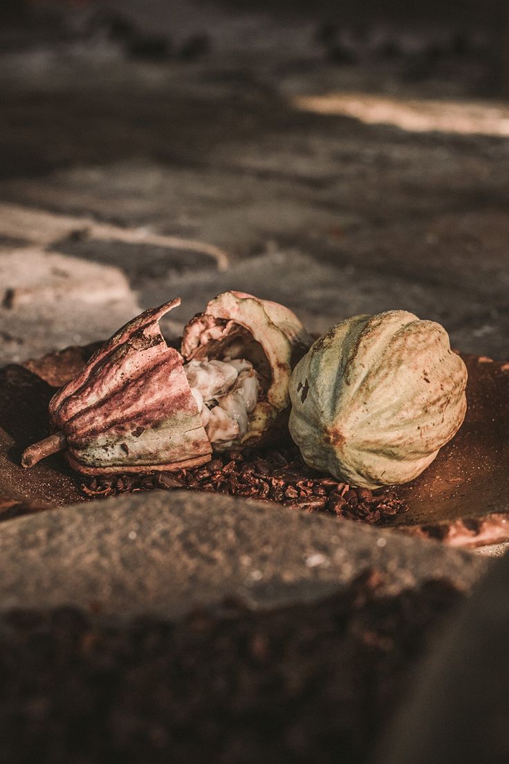 Waarom rauwe cacao perfect is tijdens je menstruatie (en je cyclus ondersteunt)